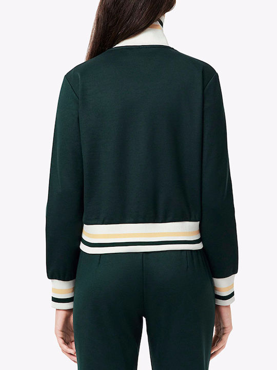 Lacoste Strickjacke Dunkelgrün