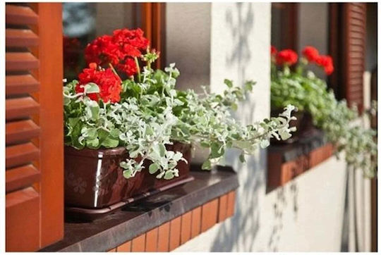 Lamela Plastic Pot Saucer Brick Color 60x16cm