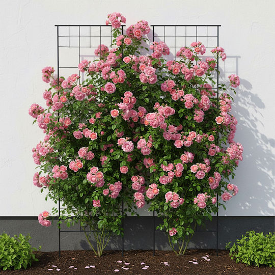 Set 2 Relaxdays Trellises Black 193 X 1 X 58 Cm