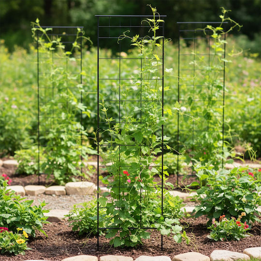 Set 2 Relaxdays Trellises Black 193 X 1 X 58 Cm