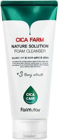 Farm Stay Cica Farm Nature Solution Reinigungsschaum 180 ml Gesichtsreinigungsschaum
