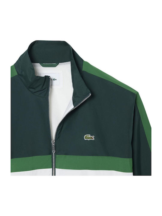 Lacoste Lacoste