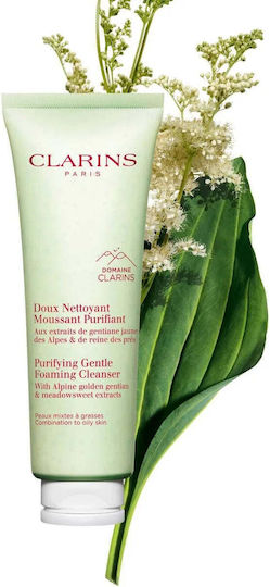 Clarins Gentle Purifying Αφρός Καθαρισμού Προσώπου για Έλεγχο λιπαρότητας 125ml