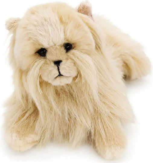 Beppe Plush Toys Pisicuță de Pluș 35 cm