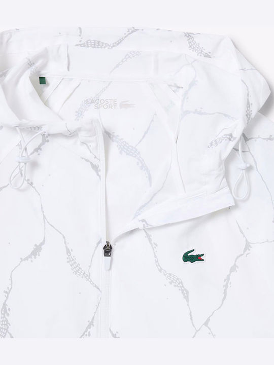 Lacoste Lacoste