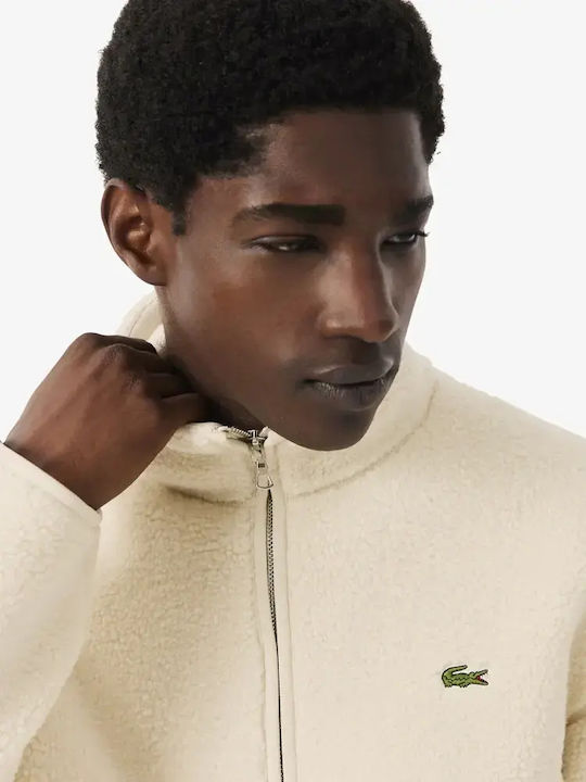 Lacoste Lacoste