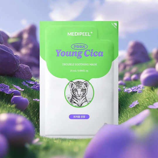 Sheet Mask 25ml