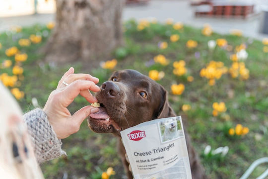 Trixie Gluten-Free Dog Treat with Fruits, Vegetables, Cheese, Banana, Apple, Carrot and Egg 80 g