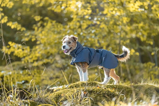 Trixie Explore Μπουφάν Σκύλου Γκρι Small με Μήκος Ράχης 35 εκ.