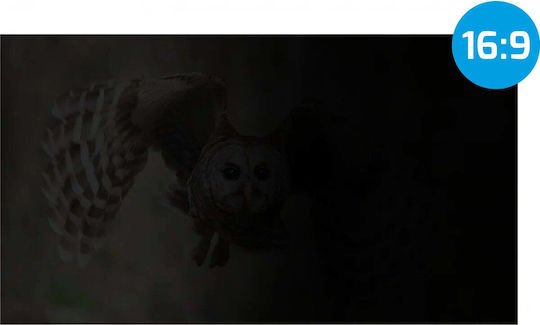 Natec Owl NFP-1478 Privacy Screen Filter 19.5" 16:9
