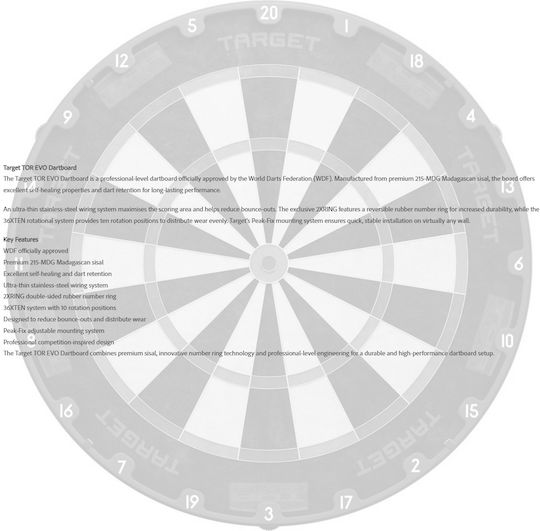 Target Darts Ziel