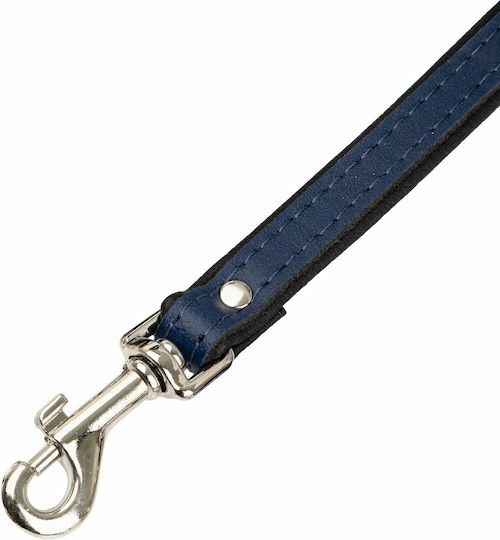 Barry King Hundeleine für Hunde aus Leder in Schwarz 1,2 m x 12 mm