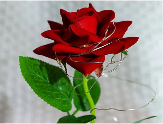 Rose in Glass Vase with 2 Red Roses & RGB LED 21 cm