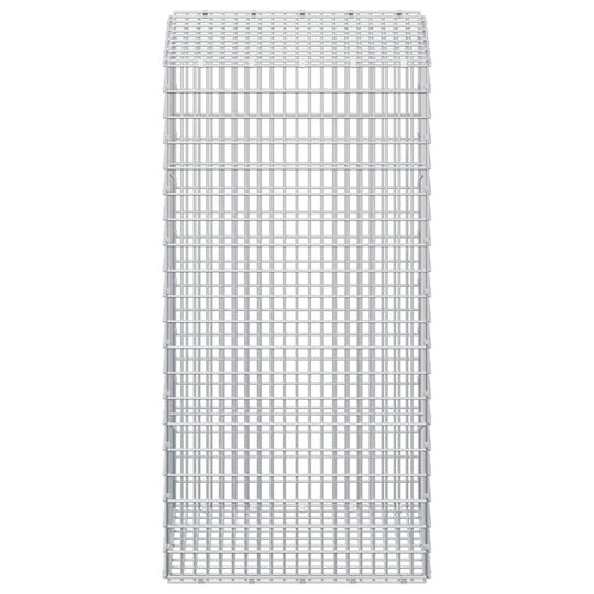vidaXL Steel Gabion Box for Garden Fencing 2.5x2.5x100 cm Silver