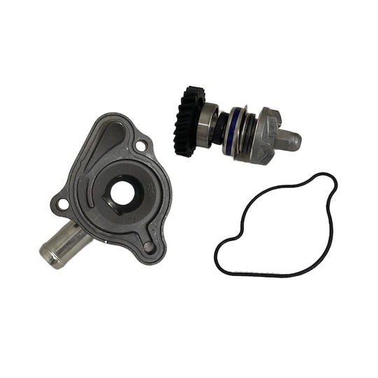 Wasserpumpe Roc Komplett Honda Gtr 150cc