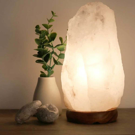 Decorative Himalayan Warm White Light Fixture