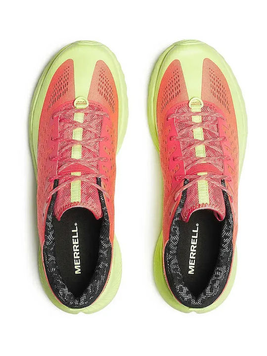 Agility Pantofi Sport de Alergare pentru Bărbați Blossom Mantis