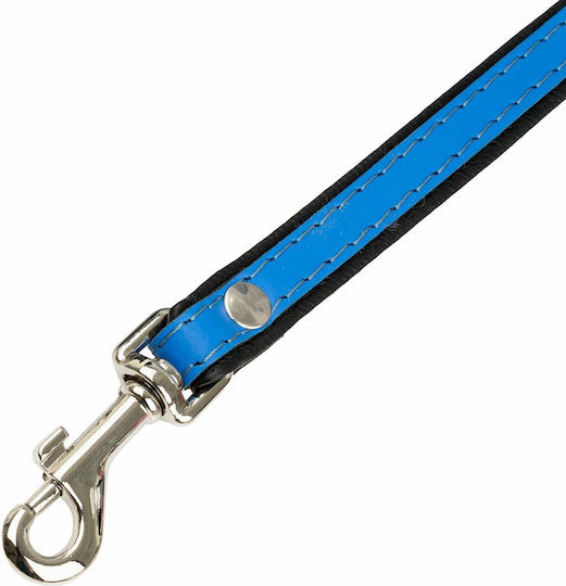 Barry King Hundeleine/Hundeführer aus Leder in Blau 12 mm