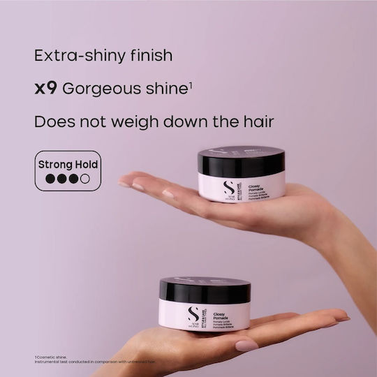 Style & Care Glossy Pomade