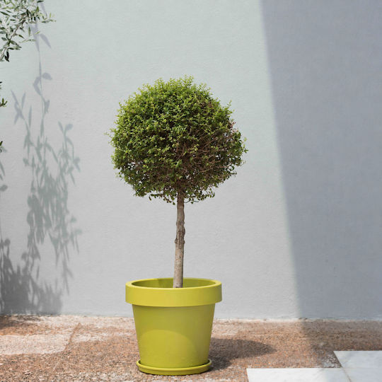 Viomes Iris Basil Flower Pot 16x16x14cm