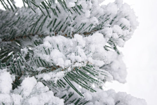 Christmas Decorative Snowy Tree 60cm