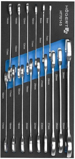 Set 15 Chei Combinatie Hogert Steel Pentru Desurubare Si Insurubare