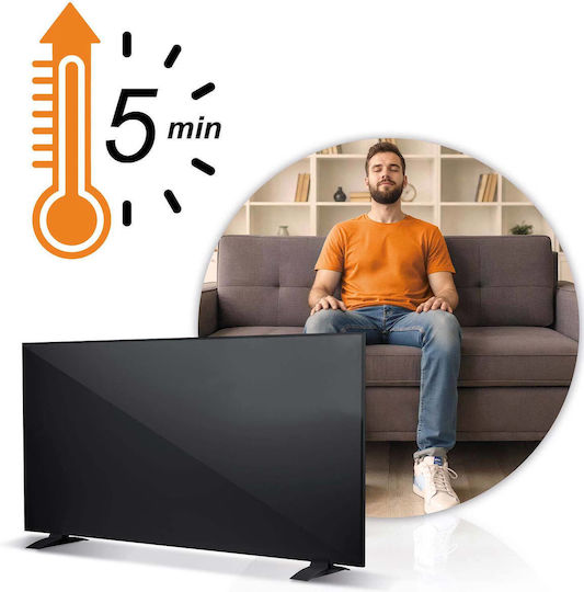 Berdsen Infrarot-Heizpaneel zur Wandmontage 1000 W Schwarz 120 × 60 cm