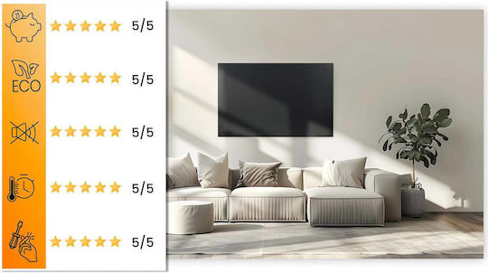 Berdsen Infrarot-Heizpaneel zur Wandmontage 1000 W Schwarz 120 × 60 cm