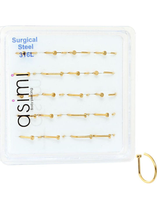 Asimi Ψεύτικο Επίχρυσο Piercing Μύτης Surgical Steel 316l 1 Τμχ Επίχρυσο Asimi Ψεύτικο Επίχρυσο Piercing Μύτης Surgical Steel 316l 1 Τμχ Επίχρυσο