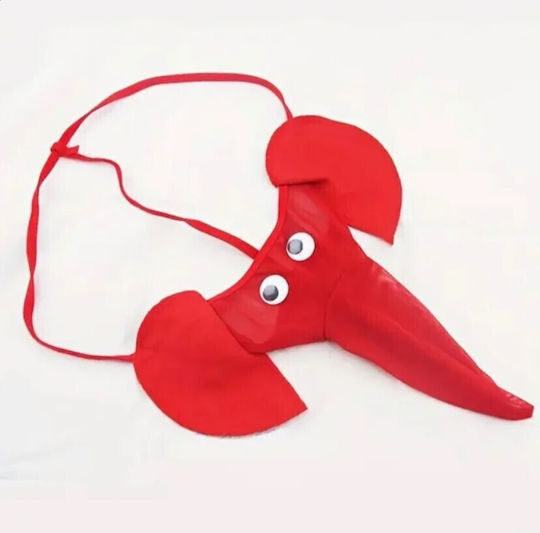 Roza Underwear Men's Sexy Red String