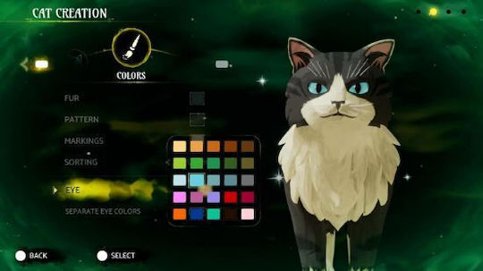 Warrior Cats: Clans of the Forest Switch Game