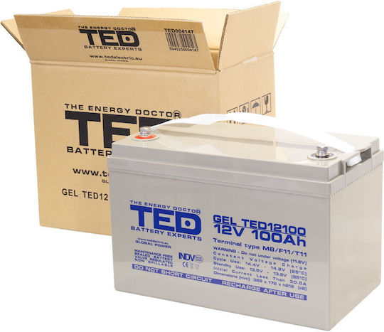 Ted Electric Acumulator Gel 12V 100Ah Deep Cycle M8 330 X 173 X 212 Mm