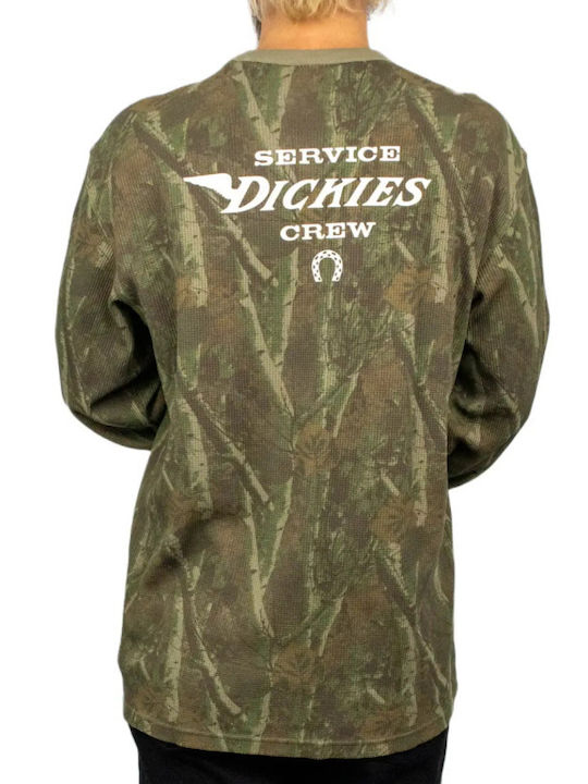 Dickies Dickies