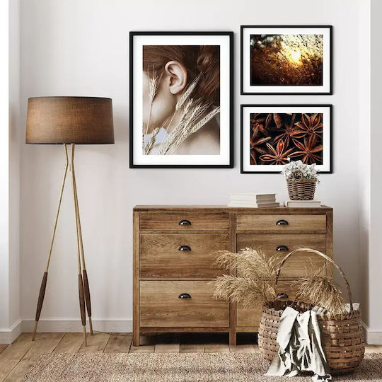 Golden Sunlight Poster Pst25121 50cm X 70cm Premium Black Wooden Frame-60570pd122353f55323