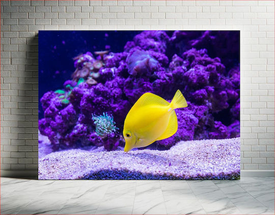 Bright Yellow Fish In Coral Reef Φωτεινό Κίτρινο Ψάρι Στον Κοραλλιογενή Ύφαλο 1 Bright Yellow Fish In Coral Reef Φωτεινό Κίτρινο Ψάρι Στον Κοραλλιογενή Ύφαλο 1
