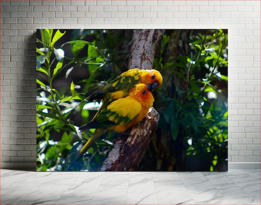 Pair Of Colorful Parrots Ζευγάρι Πολύχρωμοι Παπαγάλοι 1 Pair Of Colorful Parrots Ζευγάρι Πολύχρωμοι Παπαγάλοι 1