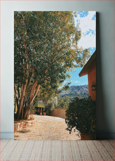 Serene Outdoor Space Γαλήνιος Υπαίθριος Χώρος Serene Outdoor Space Γαλήνιος Υπαίθριος Χώρος