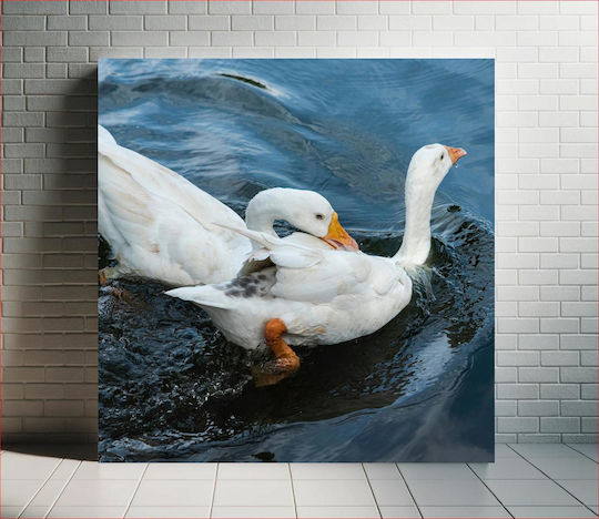 Πίνακας Two White Ducks By Water Δύο Λευκές Πάπιες Δίπλα Στο Νερό 110x110