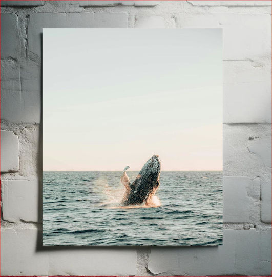Whale Breaching The Surface Φάλαινα Που Παραβιάζει Την Επιφάνεια 1 Whale Breaching The Surface Φάλαινα Που Παραβιάζει Την Επιφάνεια 1