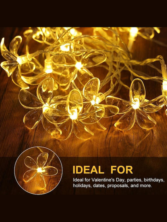 Garland Lights 3m with 20 Bulbs