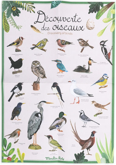 Exploration And Ornithology Εκπαιδευτικό Παιχνίδι για 3+ Ετών