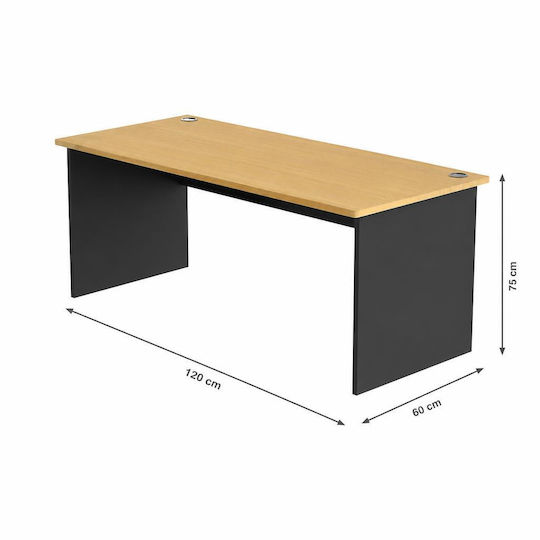 Birou profesional Eudine Lemnos Natural/carbon black 120x60x75cm