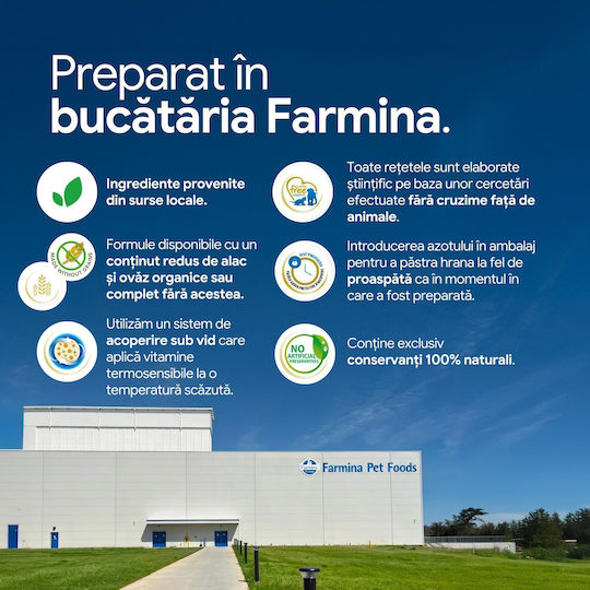 Ocean Hrană Uscată Fără Cereale pentru Pisici Adulte Sterilizate cu Hering 5 kg