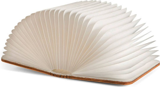 Decorative Illuminated Book Decorative Illuminated Book