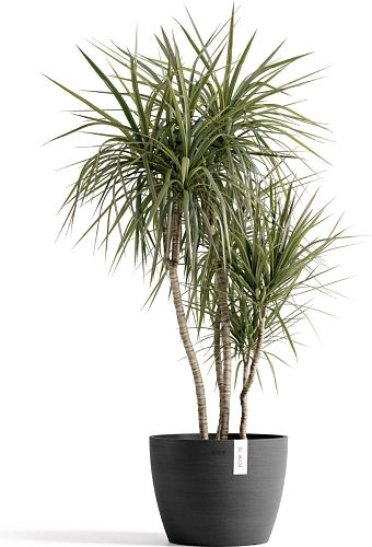 Ecopots Pot Open Café 31x23.3cm.
