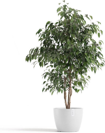 Ecopots Pot White Ecopots Pot White