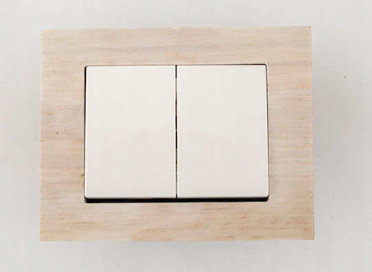 Harry Potter Recessed Double Wall Switch Without Frame White