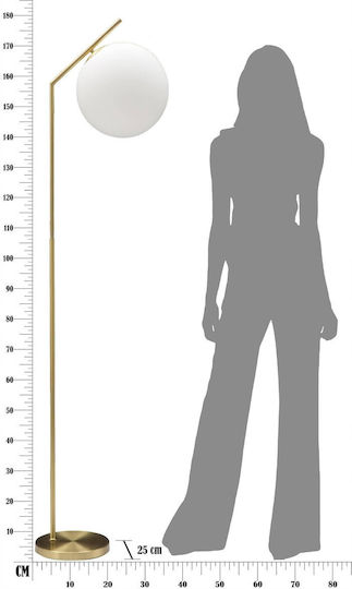 Mauro Ferretti Floor Lamp H179cm with E27 Bulb Holder Gold