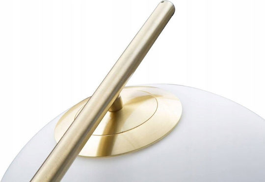 Mauro Ferretti Floor Lamp H179cm with E27 Bulb Holder Gold