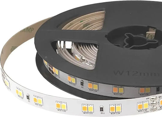 Cubalux Jazz 24V 5m LED Strip